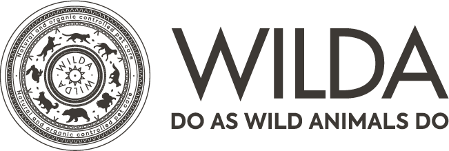 Wilda