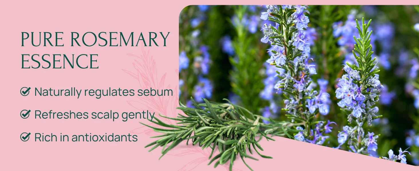 Vis Plantis Rosemary Shampoo: Premium A+ module 2 on Amazon.co.uk